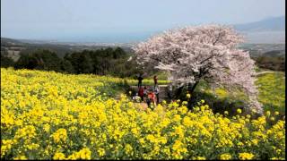 2013春 白木峰高原