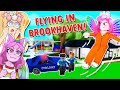 I Tried The NEW FLYING HACK In Brookhaven With SANNA! (Roblox)