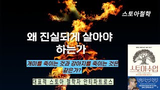 왜 진실되게 살아야 하는가 (안티파트로스, 스토아수업)