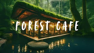 Forest Cafe 🌲☕coffee time in cozy cafe with lofi Music