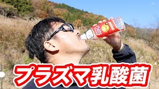 キリンビバレッジ まもるチカラのサプリすっきりヨーグルトテイストを飲む・マック堺 サブチャンネル