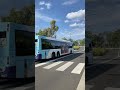 cdc hillsbus 9527 buses bus sydneybuses