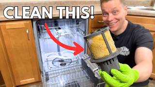 The Best Way to Clean Your Dishwasher!