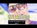 USU JAN ATENG/Tangan Tak Sampai - cover (Alexander Lehan)