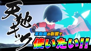 某動画に影響されたしゅーとんが天地キック格闘Miiを使ってみた結果【スマブラSP】