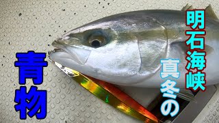 【明石沖】真冬の青物ジギング！！　イカナゴパターン