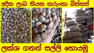 කරුංකා ව්‍යාපාරය | Karunka business - Puwak business | Sri lanka - Sinhala