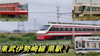 【秋の夕暮れ迫る 東武伊勢崎線 県駅】東武200系 特急りょうもうの運転士さん、今回もリアクションありがとうございました！