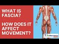 What is Fascia? How Does It Affect Movement?