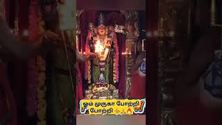 கடினமான சோதனைகள் வந்தாலும் உன் முருகப்பெருமானை கண்ணீர் மல்க கூப்பிடு ஓடோடி வருவார் 🙏🙏🙏