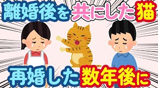 【2ch 感動スレ】離婚してから一緒に生活してきた猫→私が再婚した数年後が【総集編】