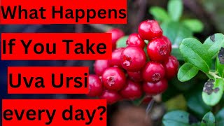 What Happens If You Take Uva Ursi every day?