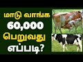 மாடு வாங்க 60000 மானியம் government schemes tamil