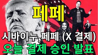 [ 페페 코인 전망 ]  시바이누, 페페 ( X 결제 ) 오늘 결제 승인 발표