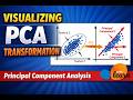 Visualizing PCA Transformation | Principal Component Analysis Explained with scikit-learn