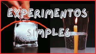 Experimentos Científicos Simples que Parecem Mágicas – Faça em Casa Agora! 🪄🧪