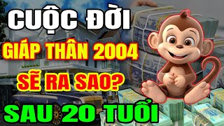 Cuộc Đời Tuổi Giáp Thân 2004 Sau 20 Tuổi Sẽ Ra Sao, May Mắn Giàu Có Hay Biến Động Thế Nào?