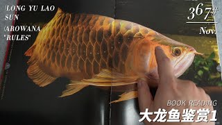 #367 龙鱼鉴赏第一集——大龙鱼