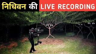 निधिवन की LIVE RECORDING - कैमरे में जो दिखा सबके होश उड़ गए - Nidhivan Real Footage