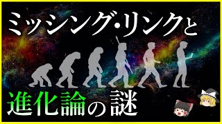 【ゆっくり解説】見つからない化石⁉「ミッシング・リンク」と進化論の謎を解説/進化論の是非と中立進化論とは？