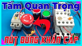 🔴 Tầm Quan Trọng Của Nút Dừng Khẩn Cấp | Emergency Stop