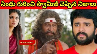 సింధు గురించి అస్సలు నిజాలు బయట పెట్టిన స్వామిజీ.. ఒక్క సారిగా షాక్ అయిన యశ్.. ఏం జరిగిందో తెలుసా..?