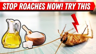 How to Make a Homemade Roach Trap That Actually Works FAST!