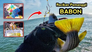 F A T A L !! BEGINILAH AKIBATNYA JIKA UMPAN TERLALU ENAK // Mancing Belanak di Pinggir Laut