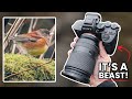 WORTH IT! - Nature POV Photography (Sony A7iv + Tamron 28-200mm)