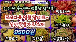 2024년1월 쪼꼬명품들 신년특가9500원으로 살수있는 기회~유명 쪼꼬의 자부심~명품창 빅토리아 유리젤 신상라크슈머 투모로우 니폰마리아 지니등