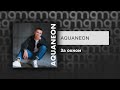 aquaneon — За окном Официальный релиз