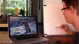 How to draw a lion - Drawing demonstration by Murray Charteris