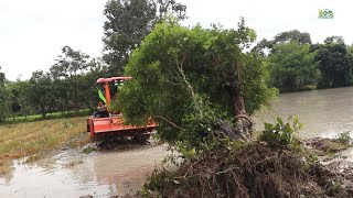 Amazing Tractor Kubota L5018 2021 Strong Pulled a tree without effort. |Agricultural Machines 2021|