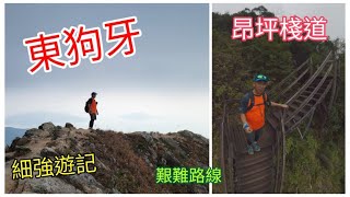 細強遊記:東狗牙:昂坪棧道(艱難路線,新手不宜)