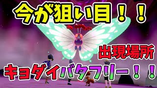 【ポケモンソードシールド】今が狙い目！！　キョダイマックス バタフリー！！　”出現場所”