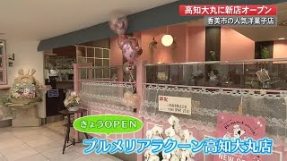 香美市土佐山田町の人気洋菓子店が高知大丸に新店オープン　【高知】 (21/06/16 19:20)