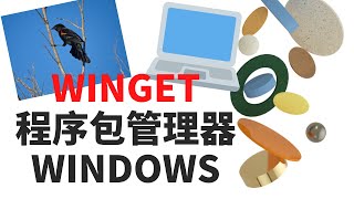 安装和使用WINGET | 命令行工具 | 程序包管理器