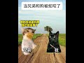 当兄弟和狗被蛇咬了 猫meme funny 迷恋 猫meme小剧场 cat 萌宠 meme 貓 pets 貓 萌寵