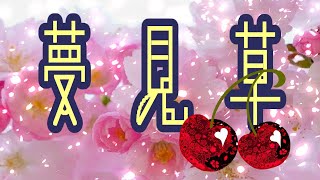 【闇音レンリ】  夢見草  【オリジナル曲】