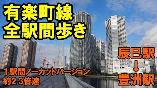 辰巳駅から豊洲駅まで歩く（有楽町線全駅間歩き）