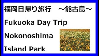 福岡 観光 日帰り 能古島 アイランドパーク  / 姪浜 フェリー Fukuoka Nokonoshima Island Day Trip Sightseeing