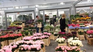 The UK's biggest flower market has a new South London Home