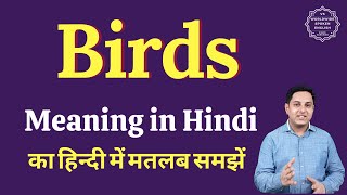 Birds meaning in Hindi | Birds ka matlab kya hota hai