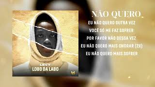 Levy Feat Alzira Baptista - Não Quero [Lyric Video]