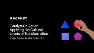 Catalysts in Action: Applying the Cultural Levers of Transformation