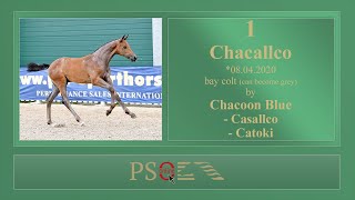 01 Chacallco ENG by Chacoon Blue - Casallco - Catoki