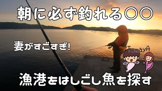 【岩手釣り】漁港を巡ってアイナメを狙う！妻は必ず釣るからすごい！【山田町】