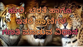 ಹುಲಿ, ಚಿರತೆ ಹಾಗೂ ಇತರೆ  ಪ್ರಾಣಿಗಳ ಗಣತಿ ಮಾಡುವ ವಿಧಾನ #tigers #wildanimals  #tigersurvey