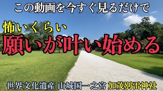 上賀茂神社　見るだけ【遠隔参拝】なぜか良いことが次々と起こり始める「神様に呼ばれた人しか参拝に行けない強力なパワースポット」