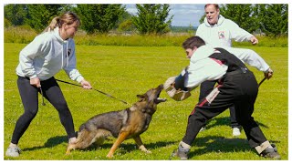 Introduction To Bite Work!